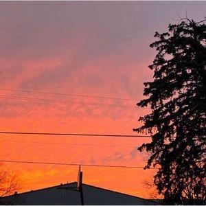 Meet your Posher, Jazmin